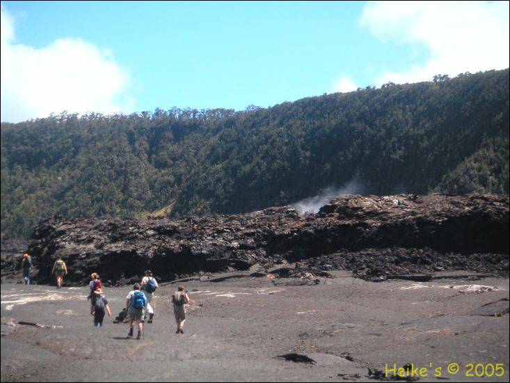 Zur&uuml;ck zur Auswahl