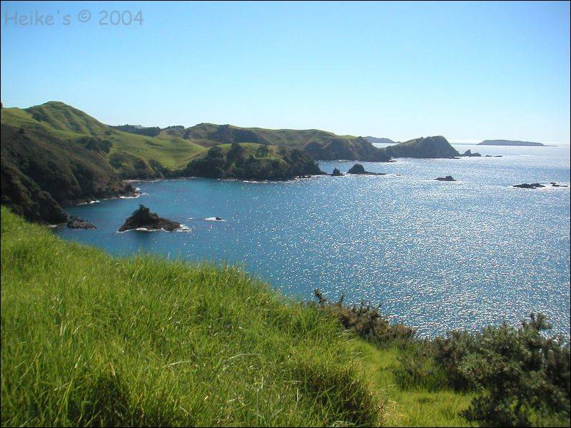 Zur&uuml;ck zur Auswahl