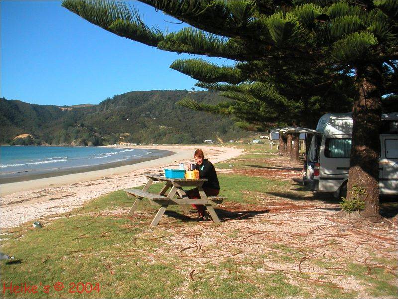 Zur&uuml;ck zur Auswahl