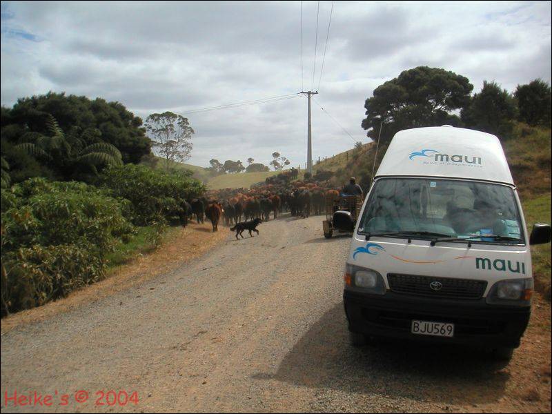 Zur&uuml;ck zur Auswahl