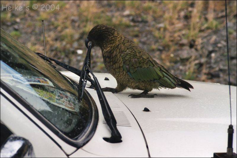 Zur&uuml;ck zur Auswahl