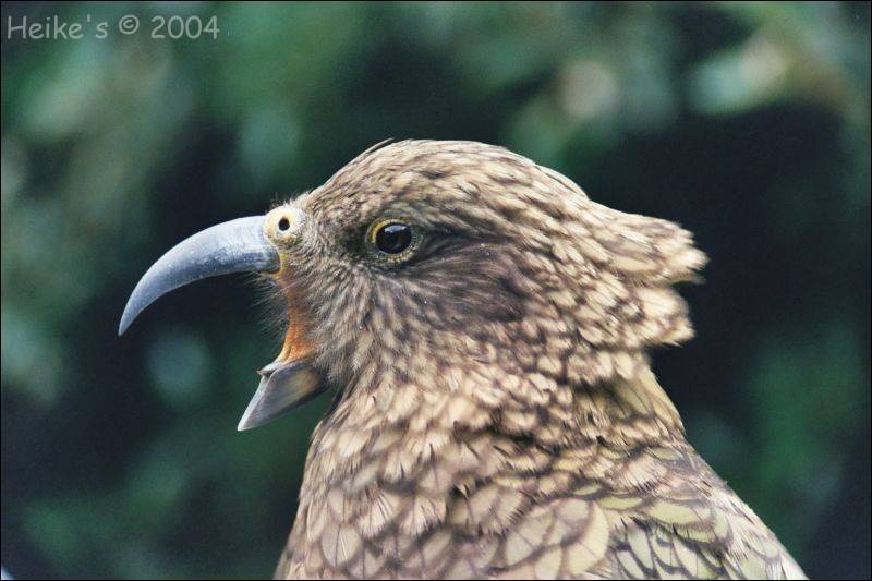 Zur&uuml;ck zur Auswahl