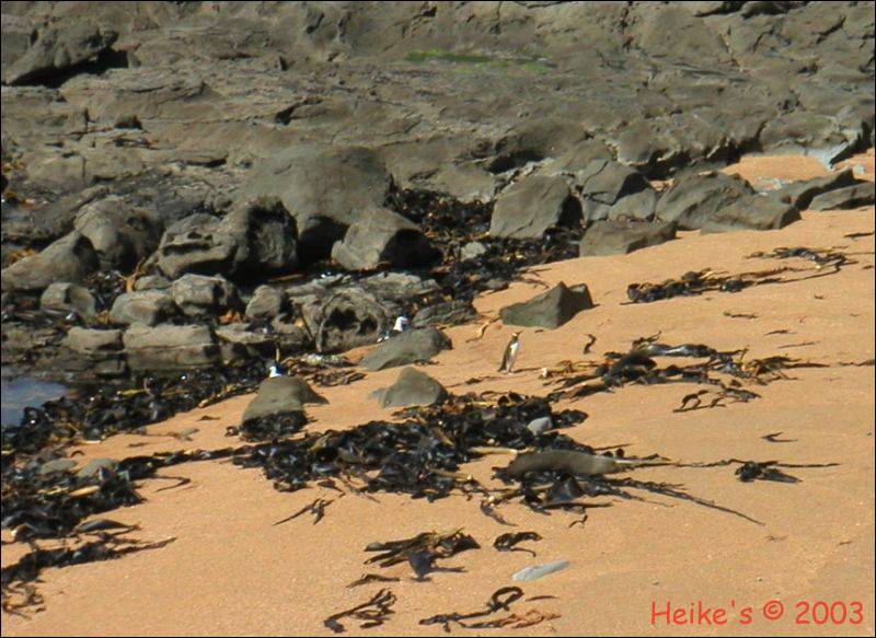 Zur&uuml;ck zur Auswahl