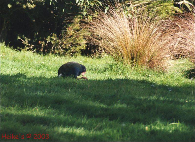 Zur&uuml;ck zur Auswahl