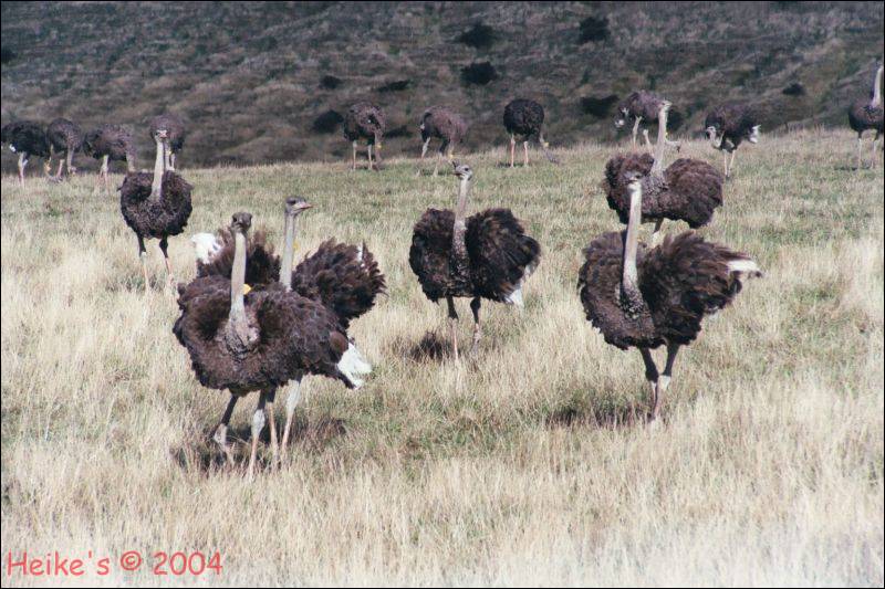 Zur&uuml;ck zur Auswahl