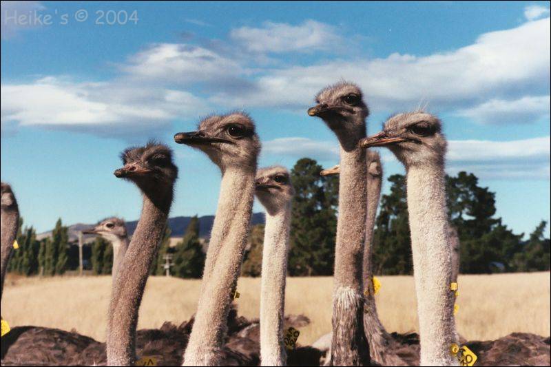Zur&uuml;ck zur Auswahl