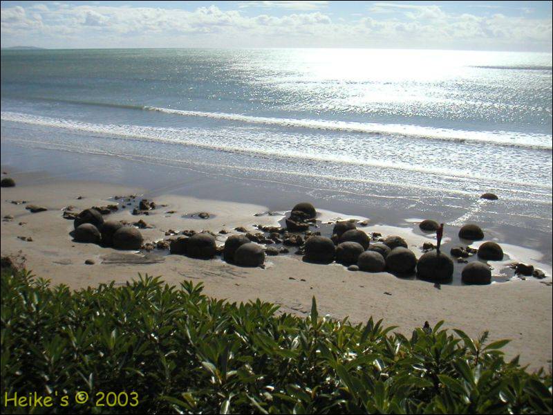 Zur&uuml;ck zur Auswahl