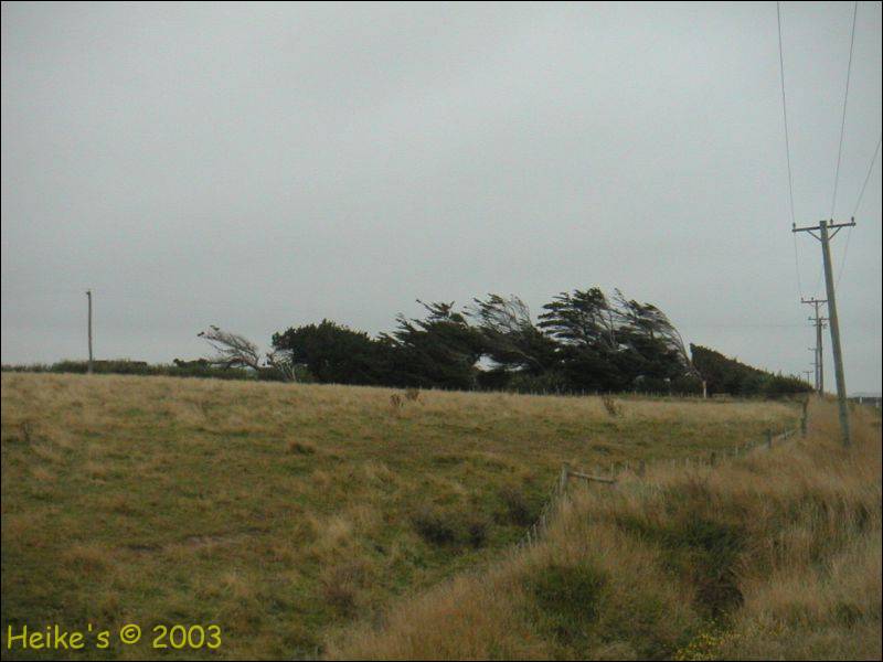 Zur&uuml;ck zur Auswahl