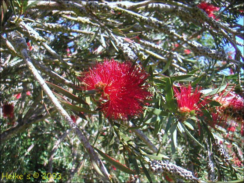 Zur&uuml;ck zur Auswahl