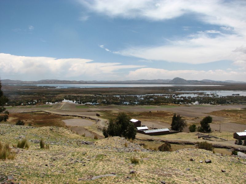 Puno10